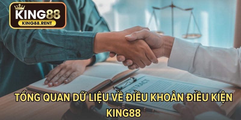 Tổng quan dữ liệu về điều khoản điều kiện KING88